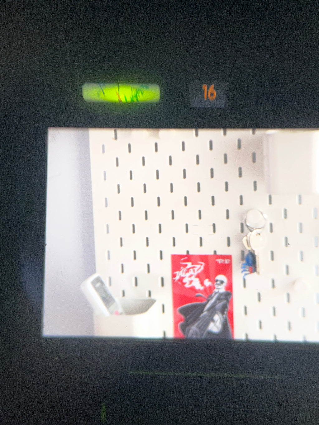 Nikon F4 + Nikkor AF 85mm F1.8D