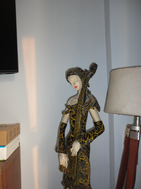 Sony Cyber-shot DSC W350