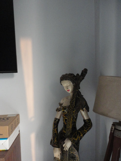 Sony Cyber-shot DSC W350