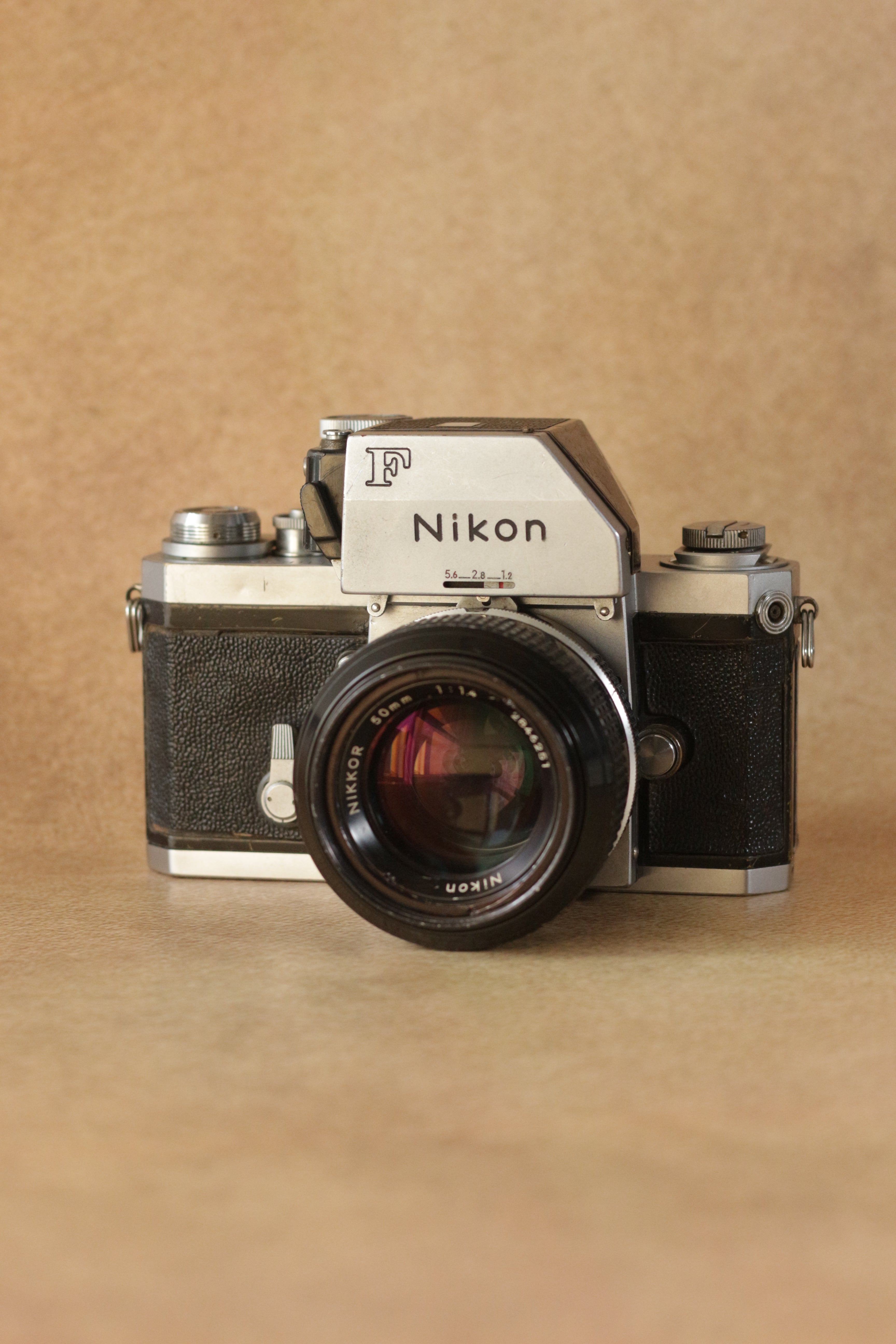 Nikon F (Photomic prism) +  Nikkor 50mm F1.4