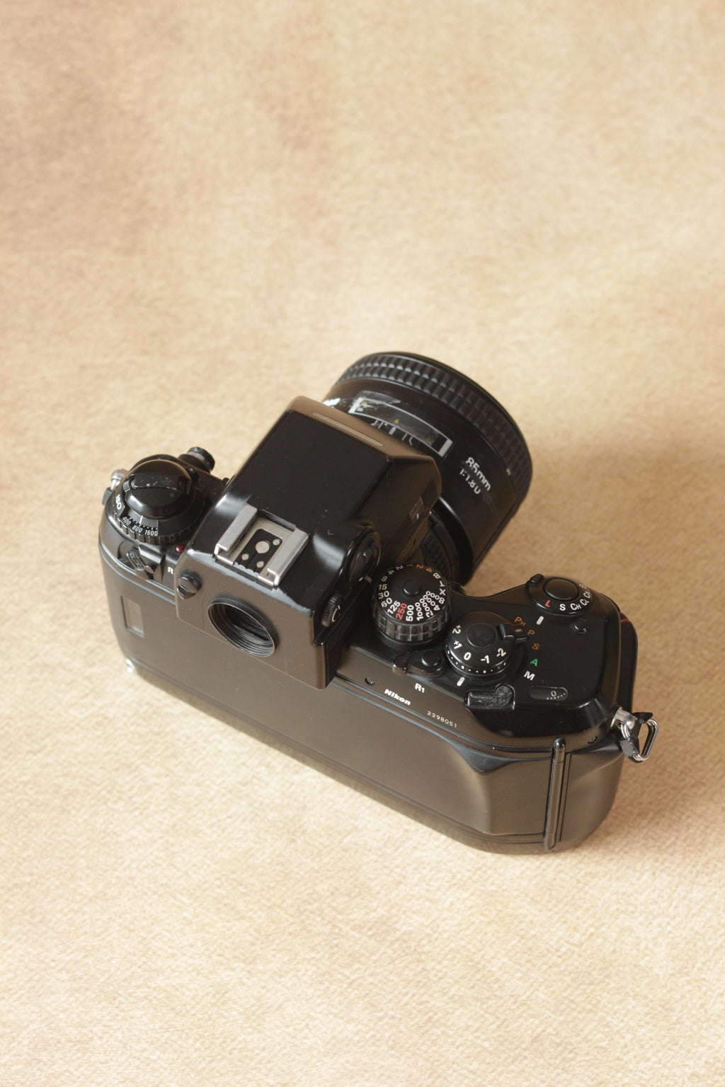 Nikon F4 + Nikkor AF 85mm F1.8D