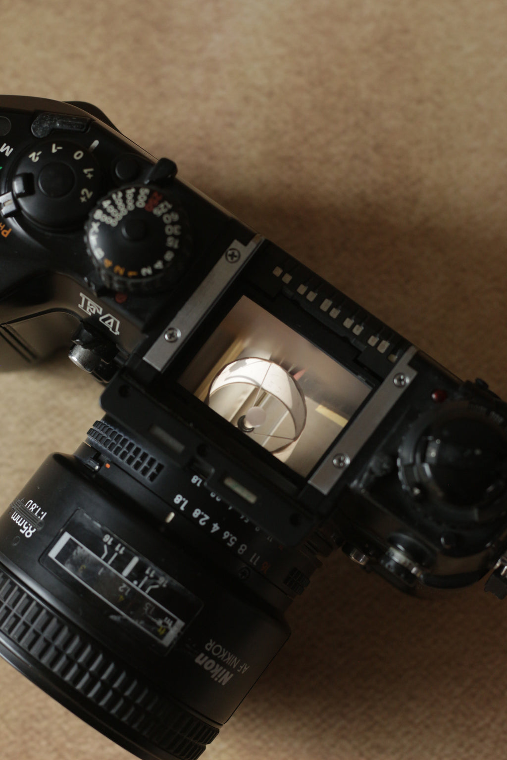 Nikon F4 + Nikkor AF 85mm F1.8D