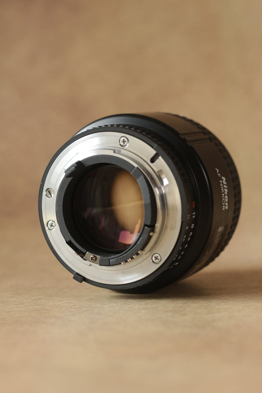 Nikon F4 + Nikkor AF 85mm F1.8D