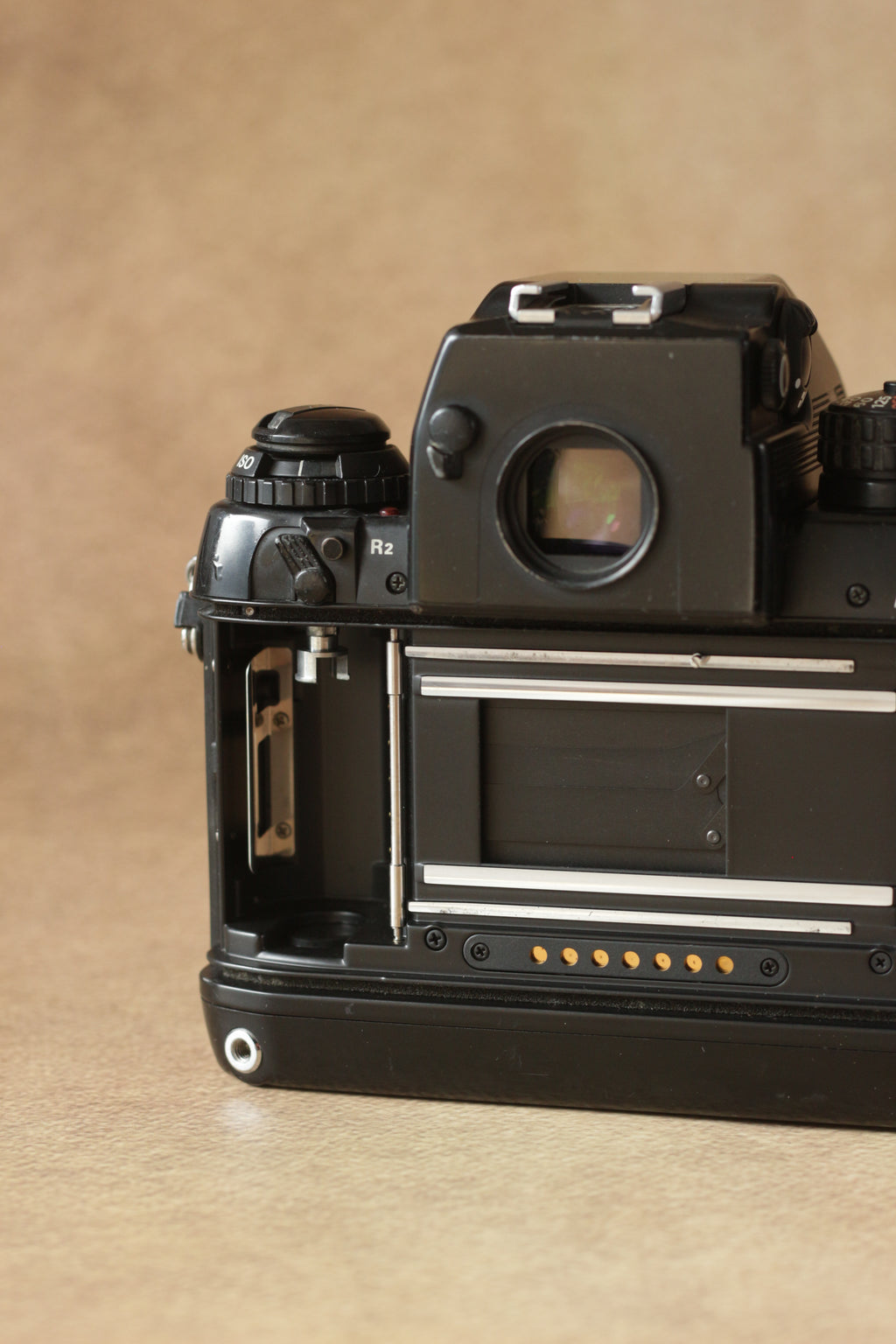 Nikon F4 + Nikkor AF 85mm F1.8D