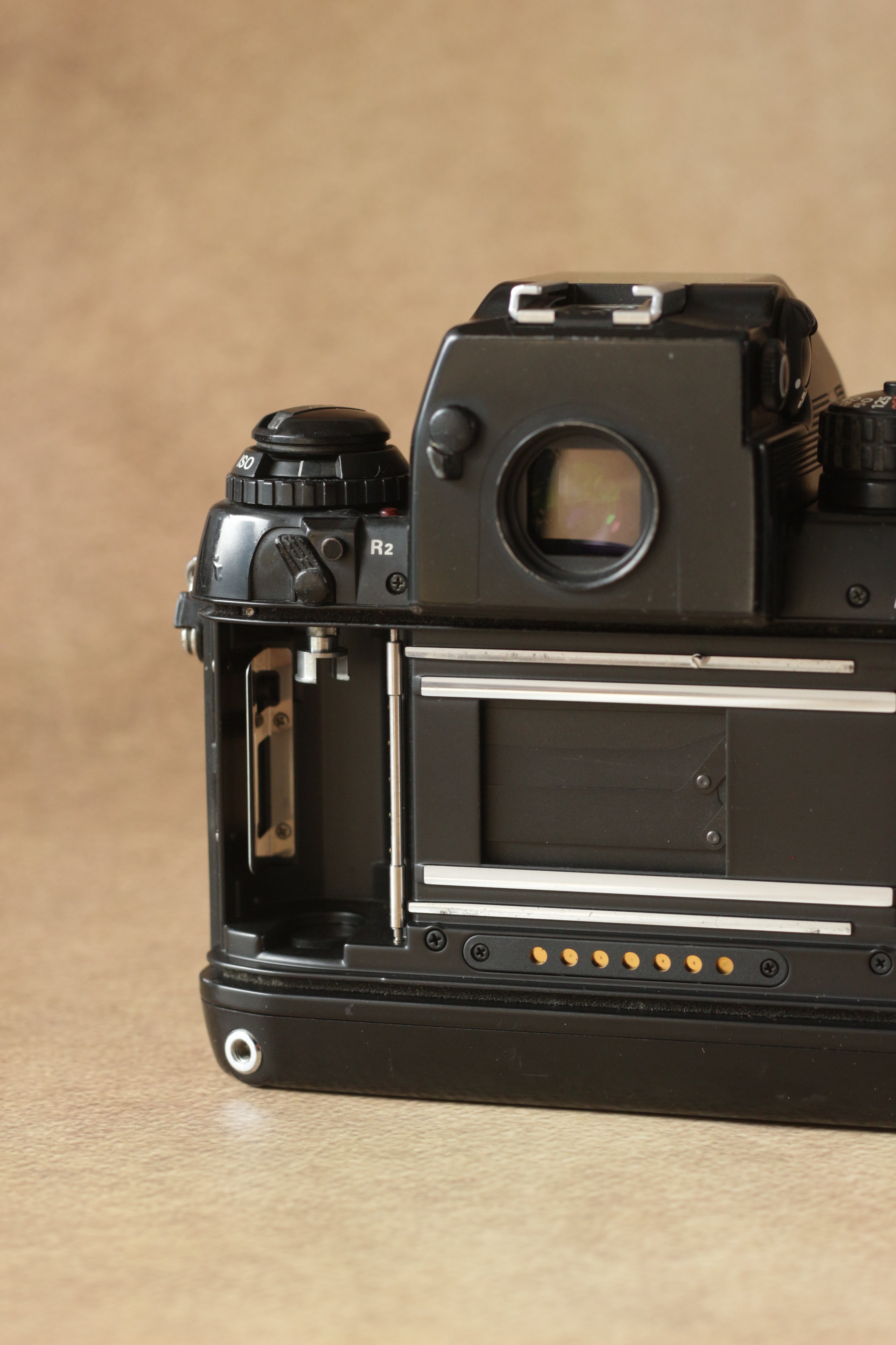 Nikon F4 + Nikkor AF 85mm F1.8D