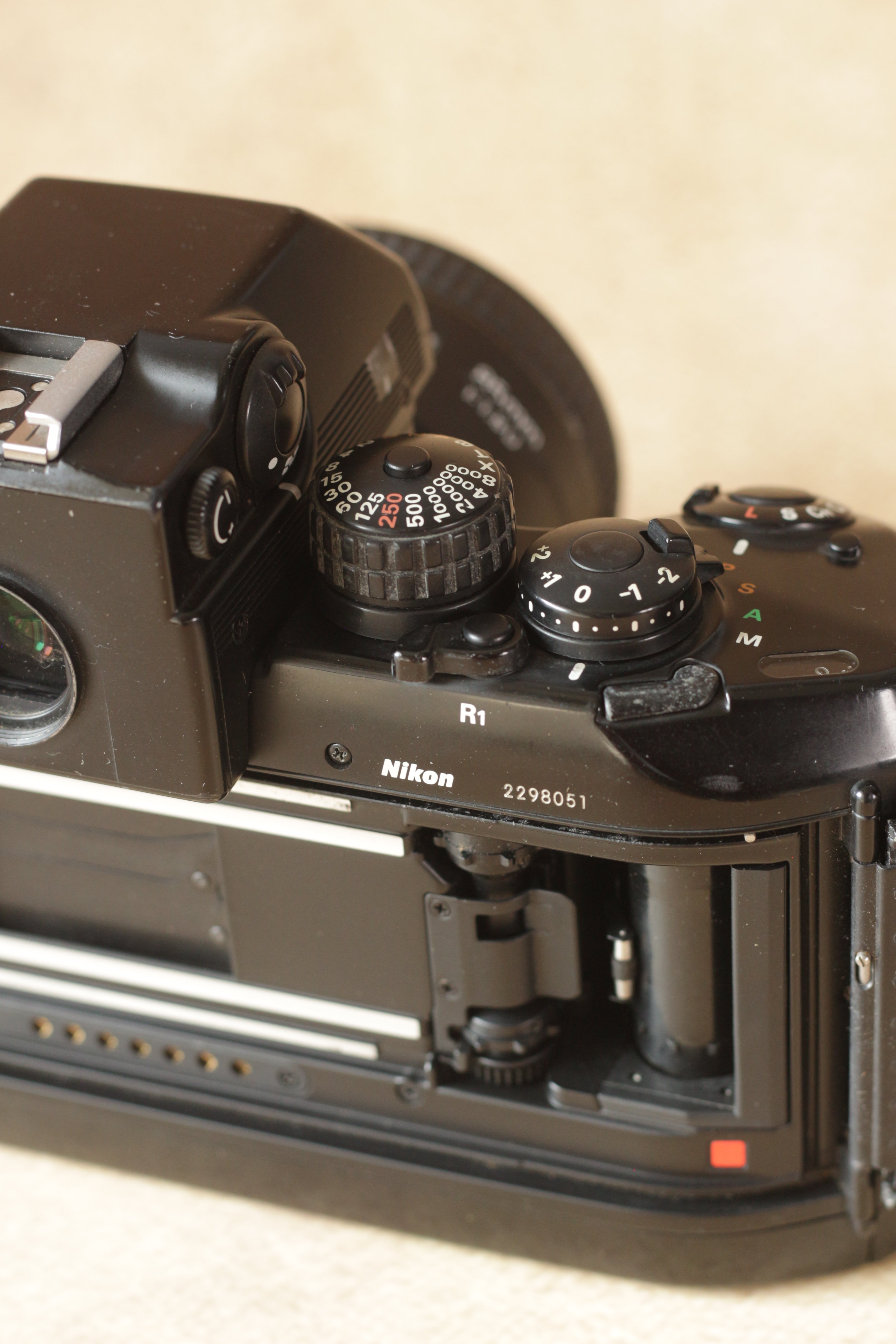 Nikon F4 + Nikkor AF 85mm F1.8D