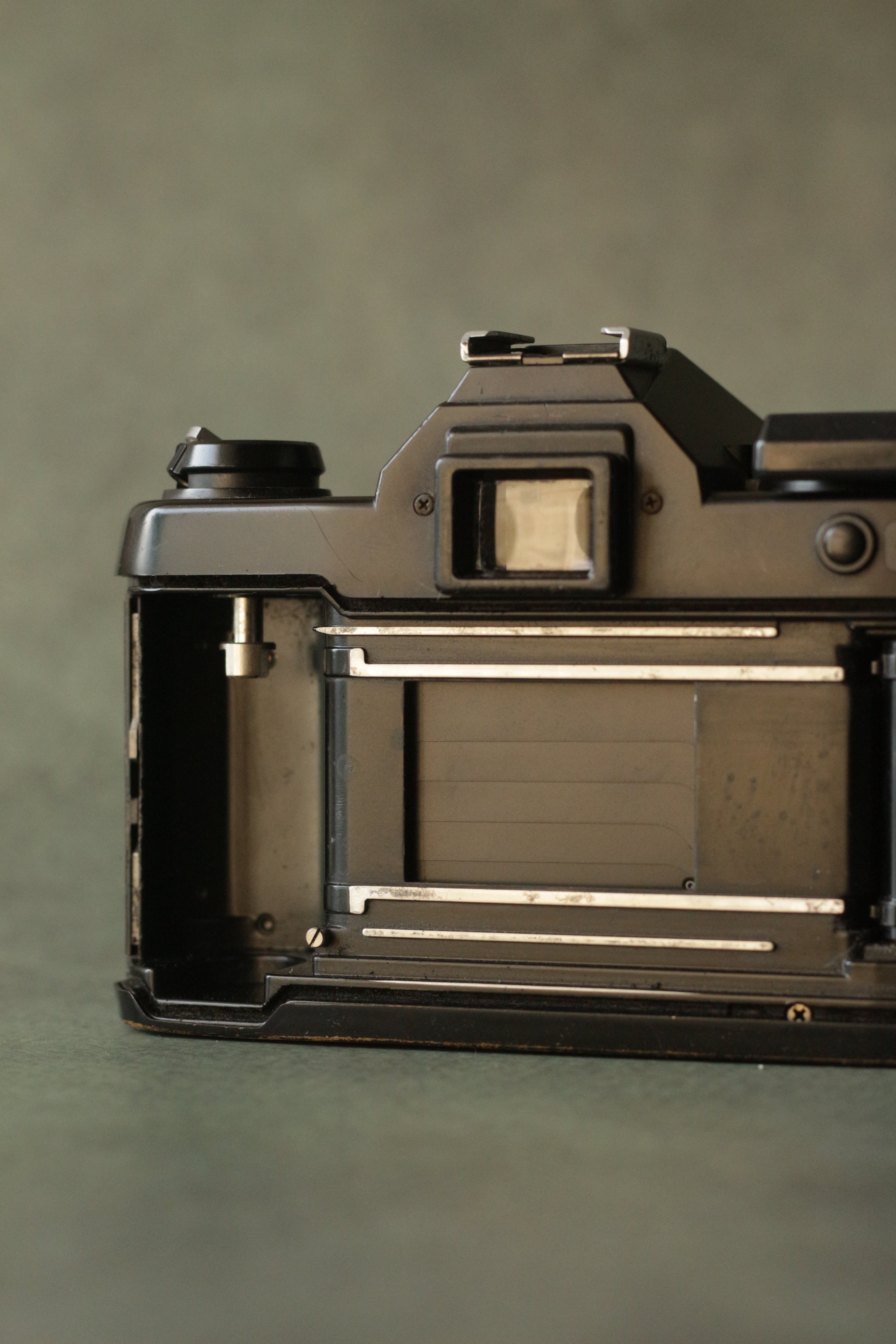 Yashica FX3 + Yashica ML zoom 42-75mm