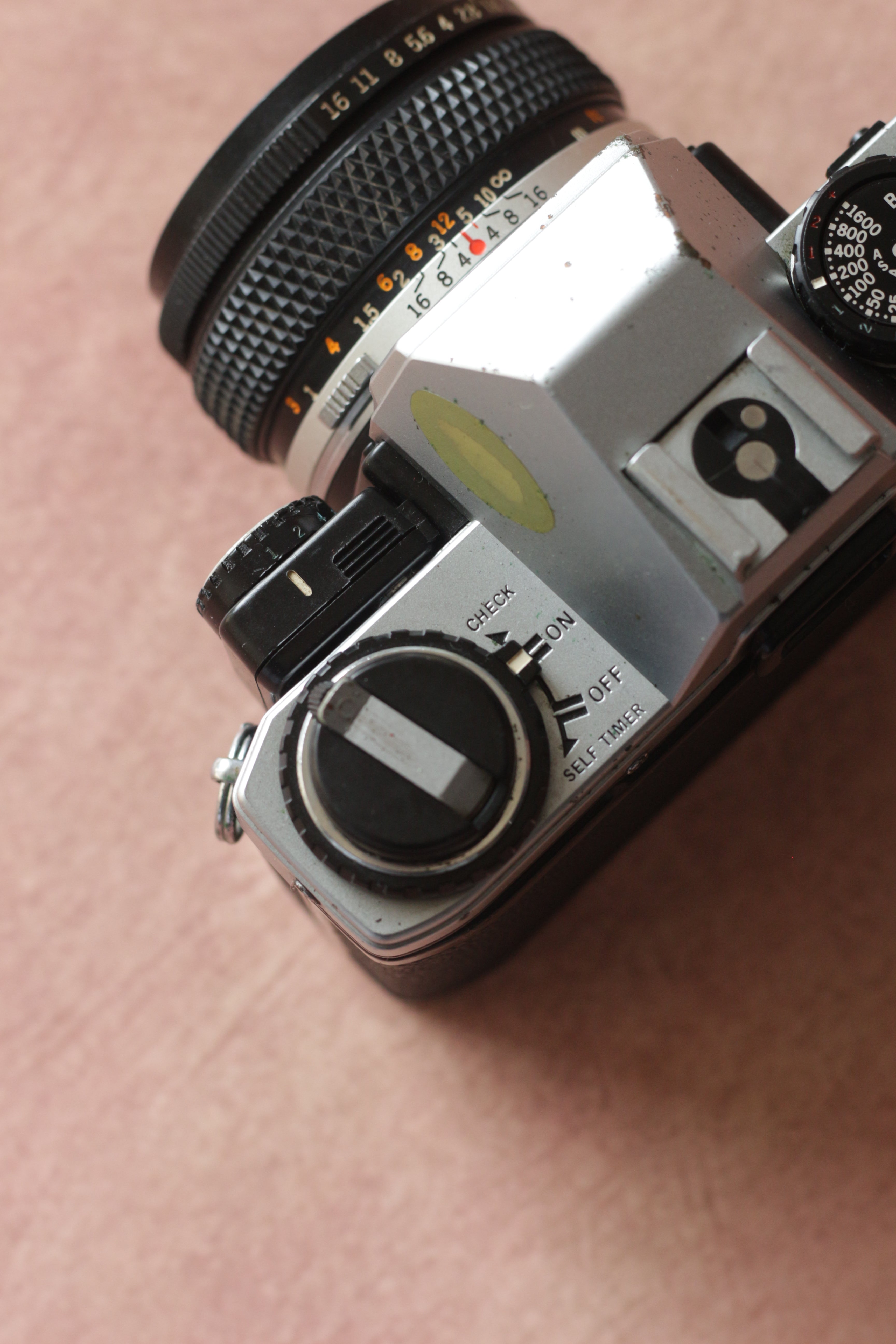 Olympus OM10 + Manual adapter