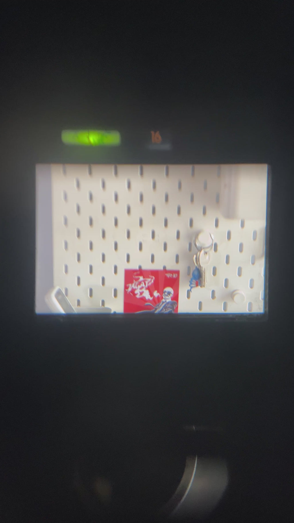 Nikon F4 + Nikkor AF 85mm F1.8D