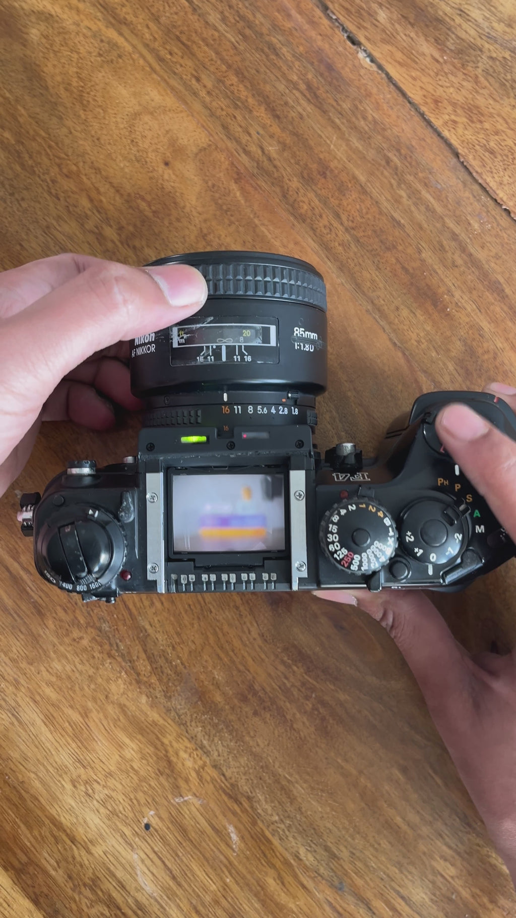 Nikon F4 + Nikkor AF 85mm F1.8D